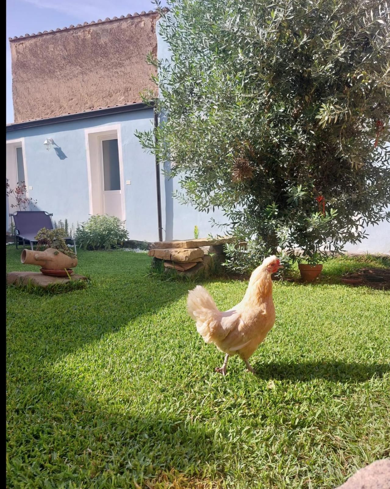 B&B Il Borgo Delle Emozioni Dolianova Dış mekan fotoğraf